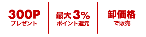 300Pプレゼント・最大3%還元・卸価格を公開