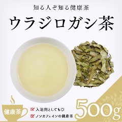【健康茶】　ウラジロガシ茶