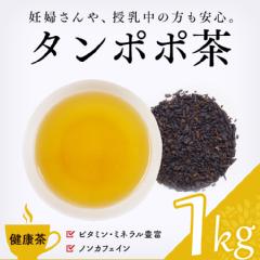 【健康茶】　タンポポ茶
