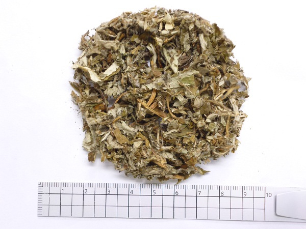 茶卸総本舗 【健康茶 通販】 よもぎ茶 100g (艾葉・マグワート・アルテミシア)の効能 健康茶・ハーブティー 茶卸総本舗 【健康茶 通販】 よもぎ茶 100g (艾葉・マグワート・アルテミシア)の効能 健康茶・ハーブティー